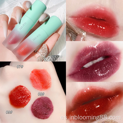 Etiqueta privada personalizada Beautiful Shimmer Lip Gloss